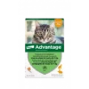 Advantage 40 Chat/Lapin De Moins De 4 Kg