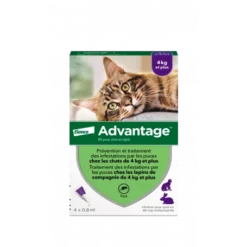 Advantage 80 Chat/Lapin De Plus De 4 Kg