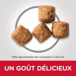 Canine Adult Light Large Poulet Value Pack -Materiel Soldes canine adult light large poulet 2