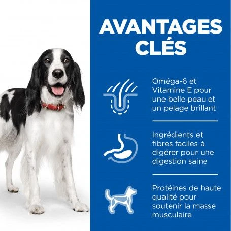 Canine Adult Poulet Boîte 2 Canine Adult Poulet Boîte – Image 2