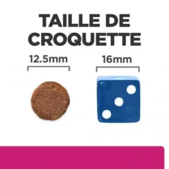 Gastrointestinal Biome Croquettes Pour Chien Au Poulet -Materiel Soldes canine gastrointestinal biome poulet 5