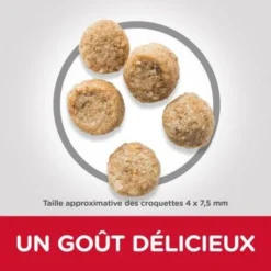 Canine Mature Mini Light Poulet -Materiel Soldes canine mature mini light poulet 2