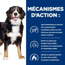 J/D Metabolic+Mobility Croquettes Pour Chien Au Poulet -Materiel Soldes canine metabolicmobility 4