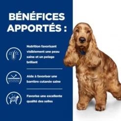 Z/d Food Sensitivities Croquettes Pour Chien -Materiel Soldes canine zd food sensitivities activ biome 3