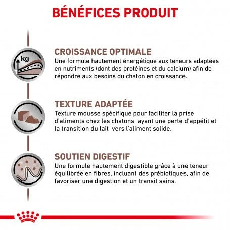 ROYAL CANIN Cat Gastro Intestinal Kitten Boîte 2 ROYAL CANIN Cat Gastro Intestinal Kitten Boîte – Image 2
