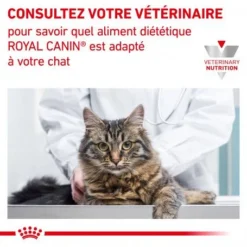 ROYAL CANIN Cat Gastro Intestinal Kitten Boîte 12 ROYAL CANIN Cat Gastro Intestinal Kitten Boîte -Materiel Soldes cat gastro intestinal kitten boite 5