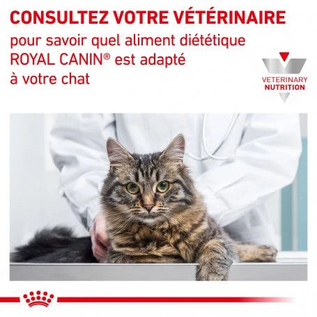 ROYAL CANIN Cat Gastro Intestinal Kitten Boîte 6 ROYAL CANIN Cat Gastro Intestinal Kitten Boîte – Image 6
