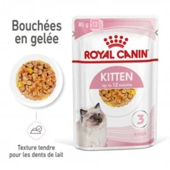 Cat Kitten Royal Canin Emincé En Gelée Sachet Repas -Materiel Soldes cat kitten royal canin emince en gelee sachet repas 2