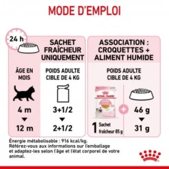 Cat Kitten Royal Canin Emincé En Gelée Sachet Repas -Materiel Soldes cat kitten royal canin emince en gelee sachet repas 3