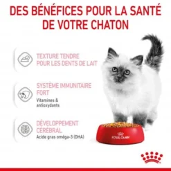 Cat Kitten Royal Canin Emincé En Gelée Sachet Repas -Materiel Soldes cat kitten royal canin emince en gelee sachet repas 6