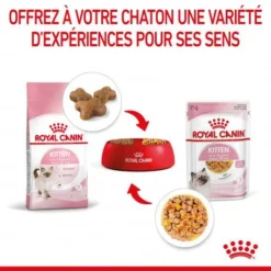 Cat Kitten Royal Canin Emincé En Gelée Sachet Repas -Materiel Soldes cat kitten royal canin emince en gelee sachet repas 7