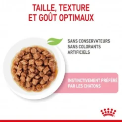 Cat Kitten Stérilisé Royal Canin Emincé En Sauce Sachet Repas 12 Cat Kitten Stérilisé Royal Canin Emincé En Sauce Sachet Repas -Materiel Soldes cat kitten royal canin emince en sauce sachet repas 12