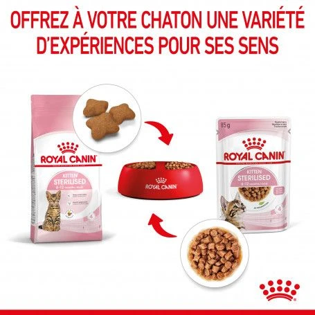 Cat Kitten Stérilisé Royal Canin Emincé En Sauce Sachet Repas 5 Cat Kitten Stérilisé Royal Canin Emincé En Sauce Sachet Repas – Image 5