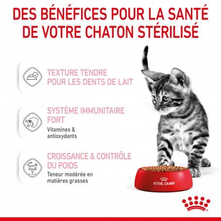 Cat Kitten Stérilisé Royal Canin Emincé En Sauce Sachet Repas 6 Cat Kitten Stérilisé Royal Canin Emincé En Sauce Sachet Repas – Image 6
