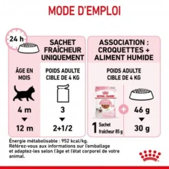 Cat Kitten Royal Canin Emincé En Sauce Sachet Repas -Materiel Soldes cat kitten royal canin emince en sauce sachet repas 3