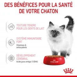 Cat Kitten Royal Canin Emincé En Sauce Sachet Repas -Materiel Soldes cat kitten royal canin emince en sauce sachet repas 6