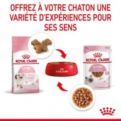 Cat Kitten Royal Canin Emincé En Sauce Sachet Repas -Materiel Soldes cat kitten royal canin emince en sauce sachet repas 7