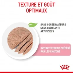Cat Kitten Royal Canin Mousse Sachet Repas -Materiel Soldes cat kitten royal canin mousse sachet repas 3