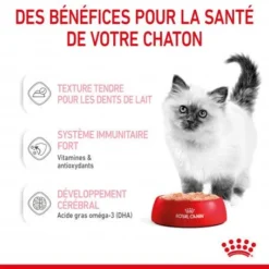 Cat Kitten Royal Canin Mousse Sachet Repas -Materiel Soldes cat kitten royal canin mousse sachet repas 6