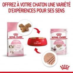 Cat Kitten Royal Canin Mousse Sachet Repas -Materiel Soldes cat kitten royal canin mousse sachet repas 7