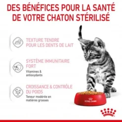 Cat Kitten Sterilised Royal Canin Emincé En Gelée Sachet Repas 15 Cat Kitten Sterilised Royal Canin Emincé En Gelée Sachet Repas -Materiel Soldes cat kitten sterilised royal canin eminen gelee sachet repas 6