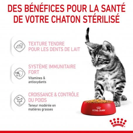 Cat Kitten Sterilised Royal Canin Emincé En Gelée Sachet Repas 7 Cat Kitten Sterilised Royal Canin Emincé En Gelée Sachet Repas – Image 7