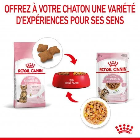 Cat Kitten Sterilised Royal Canin Emincé En Gelée Sachet Repas 8 Cat Kitten Sterilised Royal Canin Emincé En Gelée Sachet Repas – Image 8