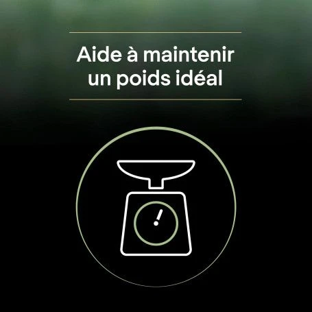 PURINA PRO PLAN Cat Liveclear Sterilised Adult Saumon 6 PURINA PRO PLAN Cat Liveclear Sterilised Adult Saumon – Image 6