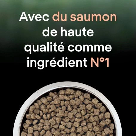 PURINA PRO PLAN Cat Liveclear Sterilised Adult Saumon 8 PURINA PRO PLAN Cat Liveclear Sterilised Adult Saumon – Image 8