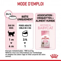 ROYAL CANIN Cat Mother & Babycat Boîte -Materiel Soldes cat mother babycat boite 1