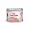 ROYAL CANIN Cat Mother & Babycat Boîte