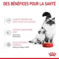 ROYAL CANIN Cat Mother & Babycat Boîte -Materiel Soldes cat mother babycat boite 3