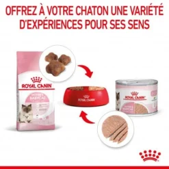 ROYAL CANIN Cat Mother & Babycat Boîte -Materiel Soldes cat mother babycat boite 4