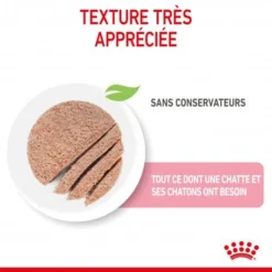 ROYAL CANIN Cat Mother & Babycat Boîte -Materiel Soldes cat mother babycat boite 5