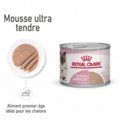 ROYAL CANIN Cat Mother & Babycat Boîte -Materiel Soldes cat mother babycat boite 6