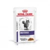 ROYAL CANIN Cat Neutered Maintenance Sachet Repas