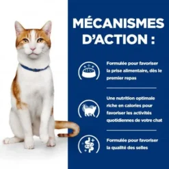 Chat On-Care Poulet -Materiel Soldes chat on care poulet 4