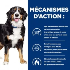 Chien J/d Metabolic + Mobility Poulet Boîte -Materiel Soldes chien j d metabolic mobility poulet bote 1