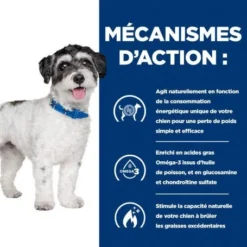J/d Metabolic+Mobility Mini Croquettes Pour Petit Chien Au Poulet -Materiel Soldes chien j d metabolicmobility mini poulet 3