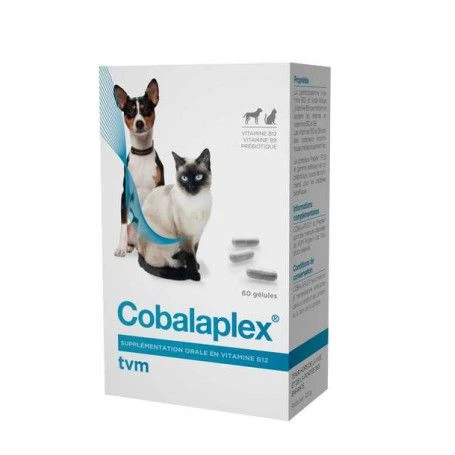 Cobalaplex 1 Cobalaplex