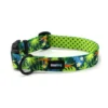 Materiel Collier Hop Dog Tropics Time