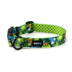 Materiel Collier Hop Dog Tropics Time