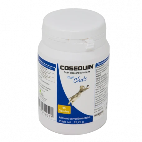 Cosequin Chat 1 Cosequin Chat