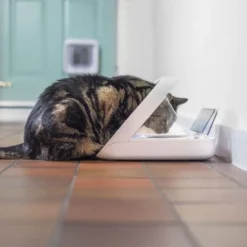 Materiel Distributeur Automatique De Nourriture SureFeed Connect -Materiel Soldes distributeur automatique de nourriture surefeed connect 5