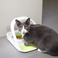 Materiel Distributeur Automatique De Nourriture SureFeed Connect -Materiel Soldes distributeur automatique de nourriture surefeed connect 7