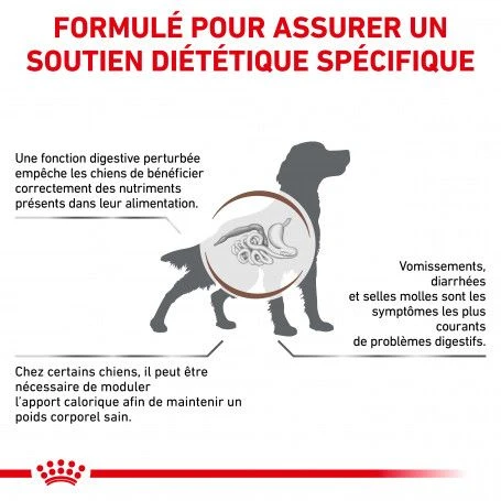 ROYAL CANIN Dog Gastro Intestinal Moderate Calorie 2 ROYAL CANIN Dog Gastro Intestinal Moderate Calorie – Image 2