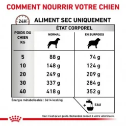ROYAL CANIN Dog Gastro Intestinal Moderate Calorie 10 ROYAL CANIN Dog Gastro Intestinal Moderate Calorie -Materiel Soldes dog gastro intestinal moderate calorie 3