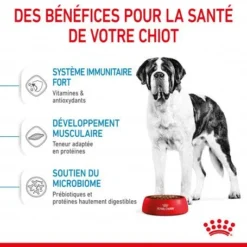 ROYAL CANIN Dog Junior Giant -Materiel Soldes dog junior giant 3