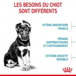 ROYAL CANIN Dog Puppy Maxi -Materiel Soldes dog puppy maxi 3