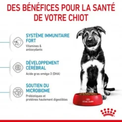 ROYAL CANIN Dog Puppy Maxi -Materiel Soldes dog puppy maxi 4